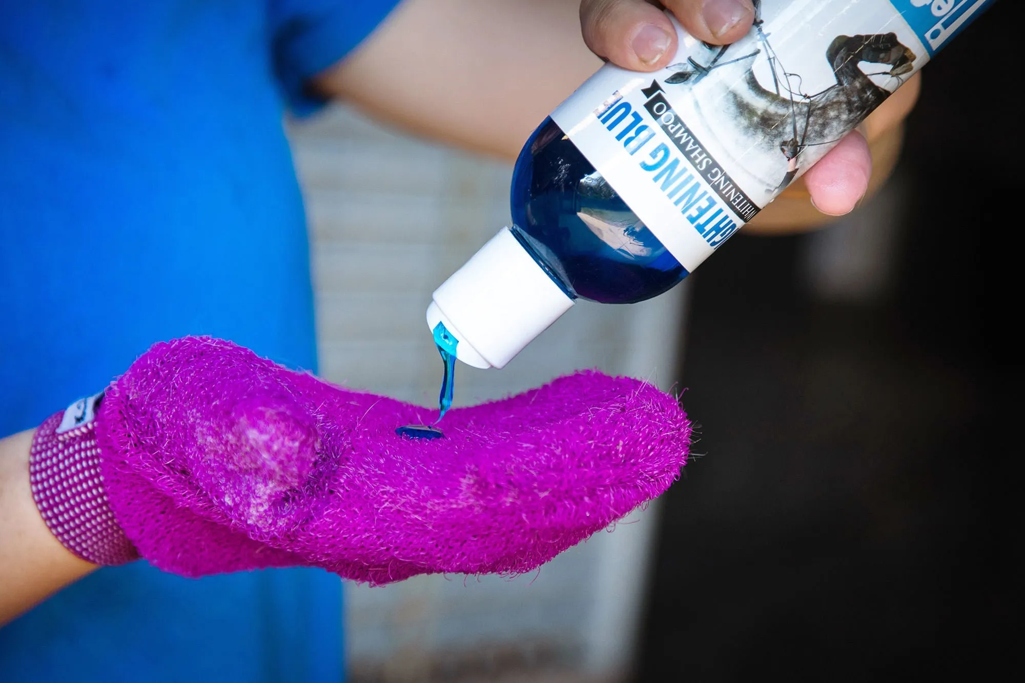 Brightening Blue Shampoo for Horses