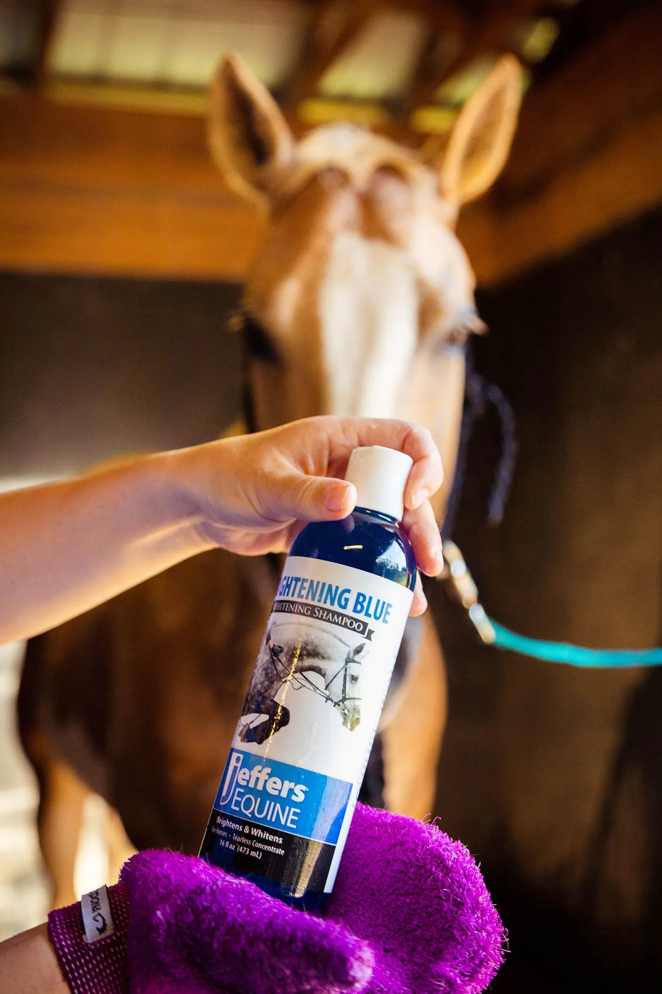 Brightening Blue Shampoo for Horses
