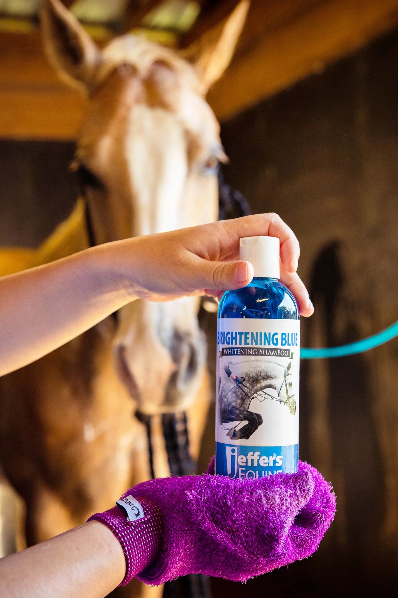 Brightening Blue Shampoo for Horses