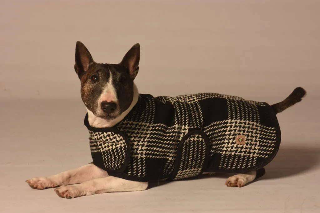 Chilly Dog Black and White Coat