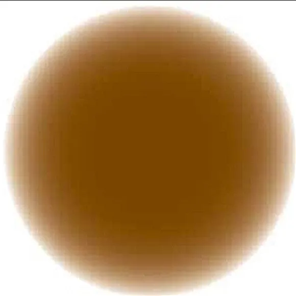 Stierwalt Rust ProTouch Paint