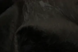Wrinkled Water